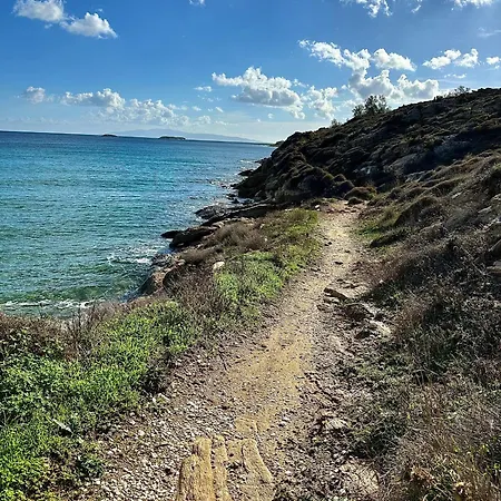 Paros Dream House Apartment